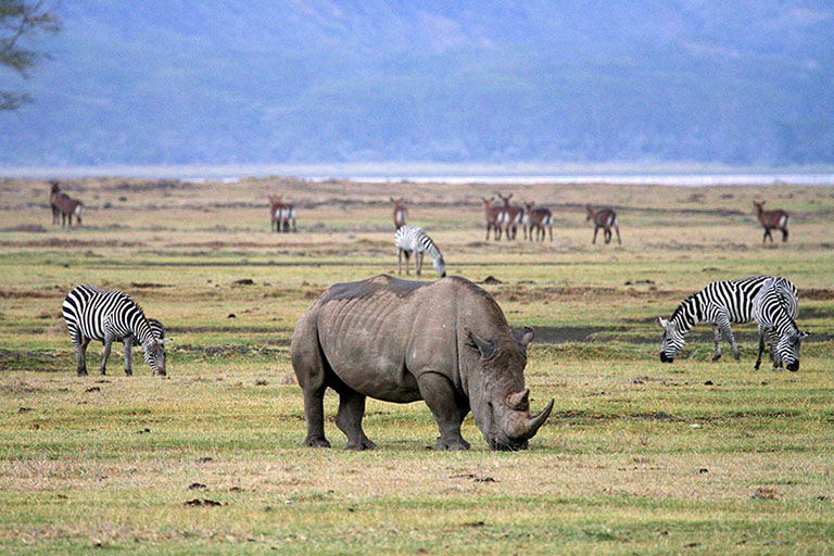 Ngorongoro Conservation Area