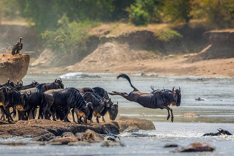 Serengeti National Park